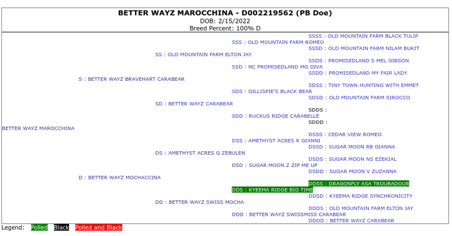 Keno's pedigree.png