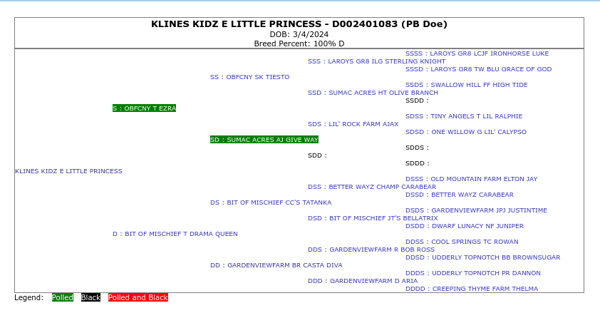 Princess pedigree.png