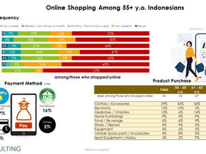 Unveiling Online Shopping Insights: Preferences of the Elderly Segment