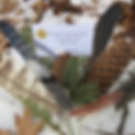FeathersPinecones.jpeg