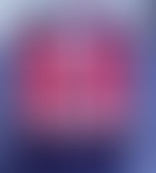 Karate School is open following the pandemic