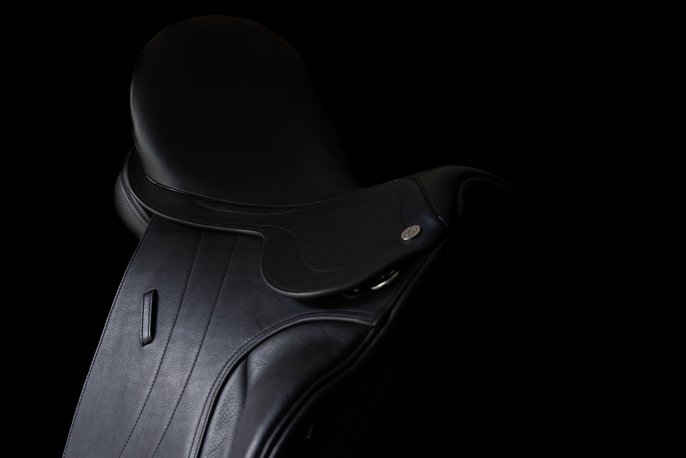 Dressage_Dark_Detail_Offside.jpg