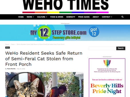 Article by the WeHo Times