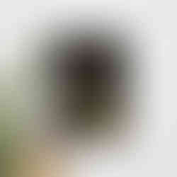 Washed & Western print, "Moonlight & Memory," featuring a poem and night sky scene.