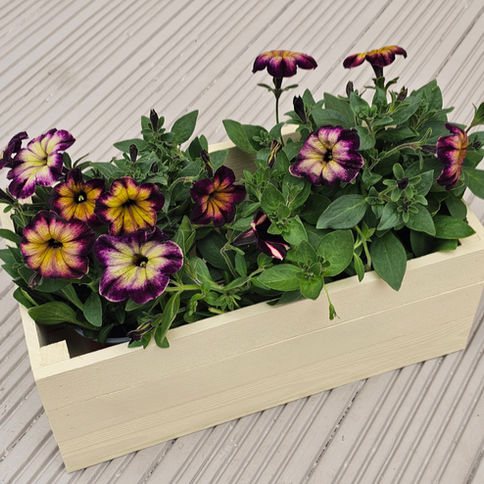 wooden crate for home storage