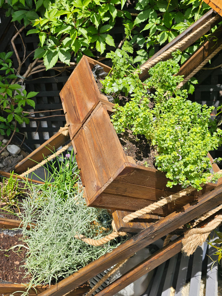 Small rectangular solid pine storage crate used as a hanging herb planter