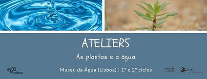 Banners capa facebook 2021 (1).jpg