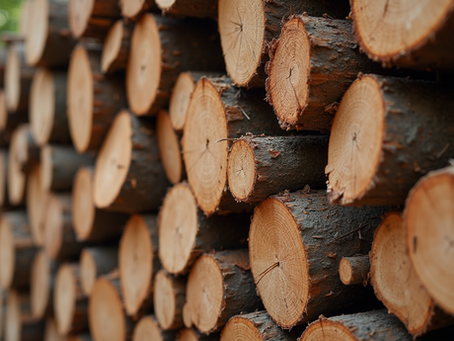 The Ultimate Guide to the Best Wood for Log Burners