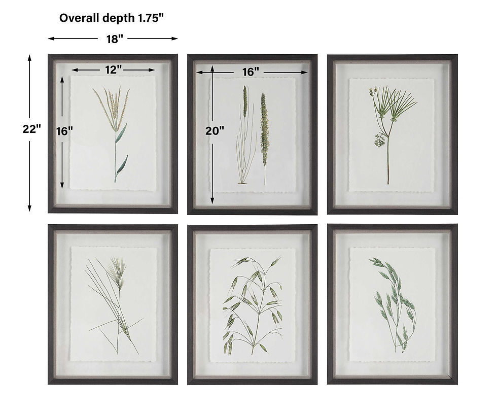 Thumbnail: Forest Finds Framed Prints, S/6