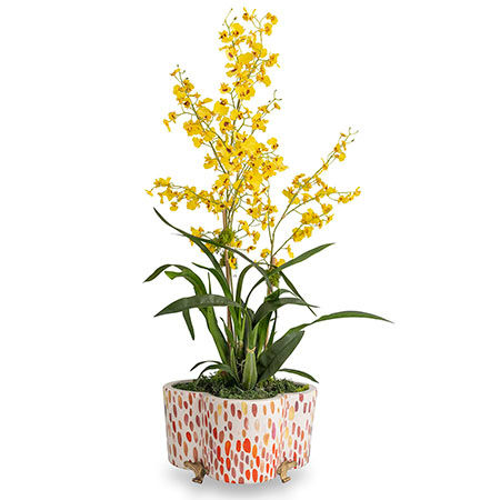 Thumbnail: Jamboree Berry Quatrefoil Planter