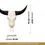Thumbnail: White Storm Cow SKull