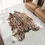 Thumbnail: Sika Deer Tapestry