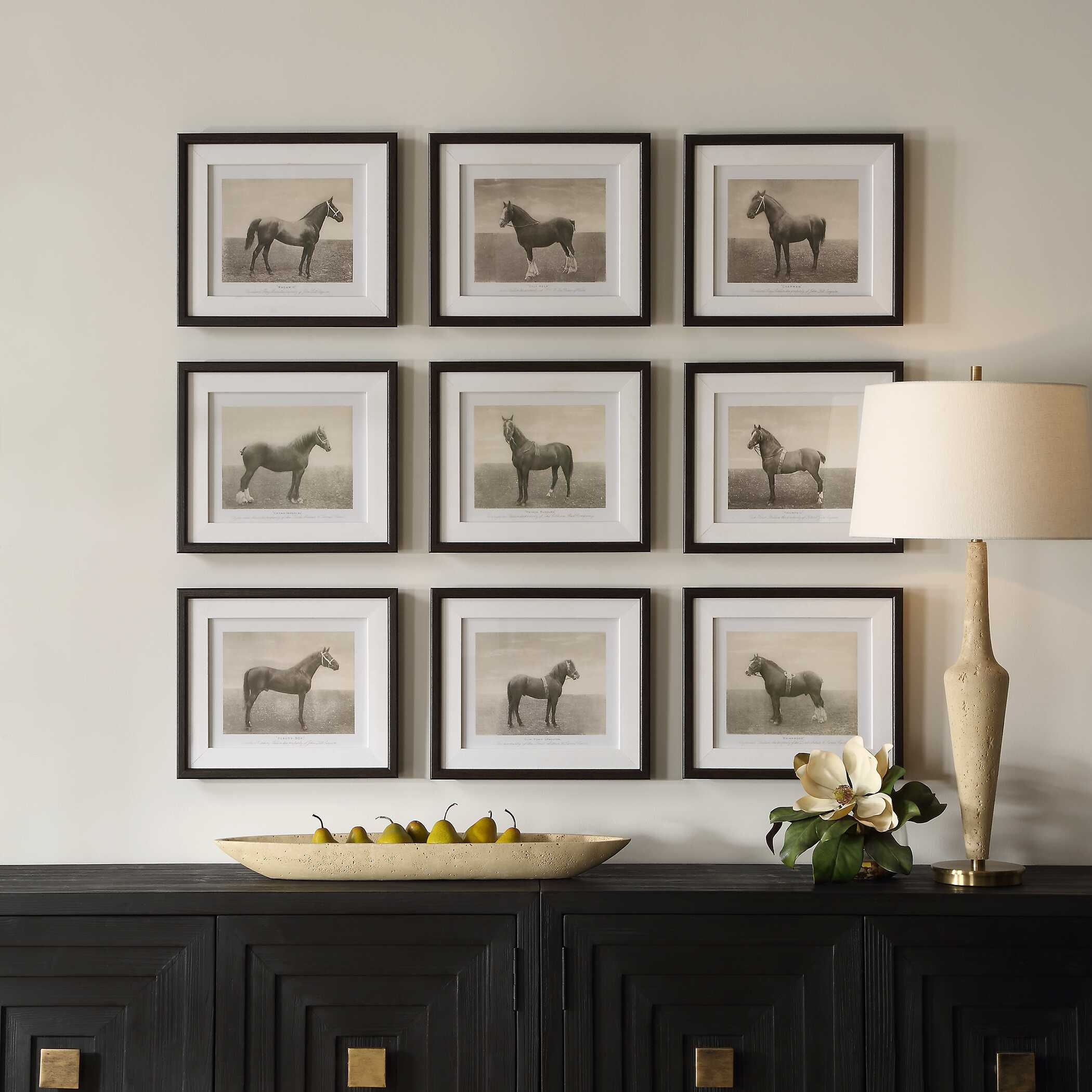 Equine Dynasty Framed Prints, S9