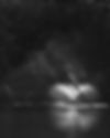 M1103089.JPG
