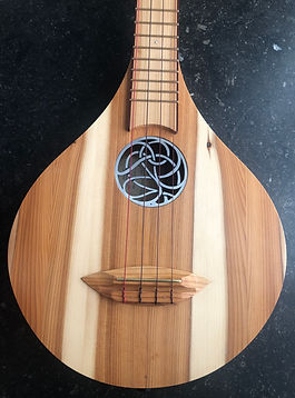 Eibe / gleicher Stamm