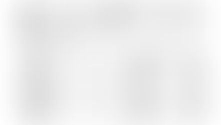 2024년 연간 기부금 모금액 및 활용실적 명세서