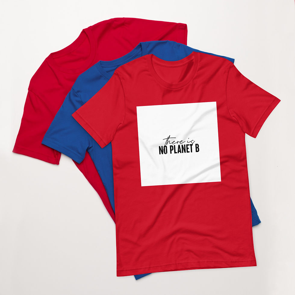 Thumbnail: Unisex t-shirt, There Is No Plan B