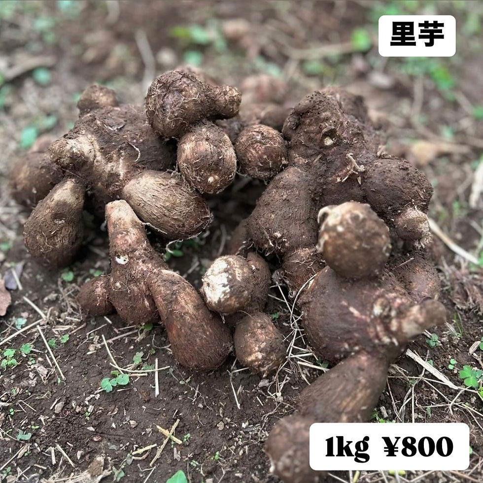 サムネイル： さなえヒルズの秋の収穫セット