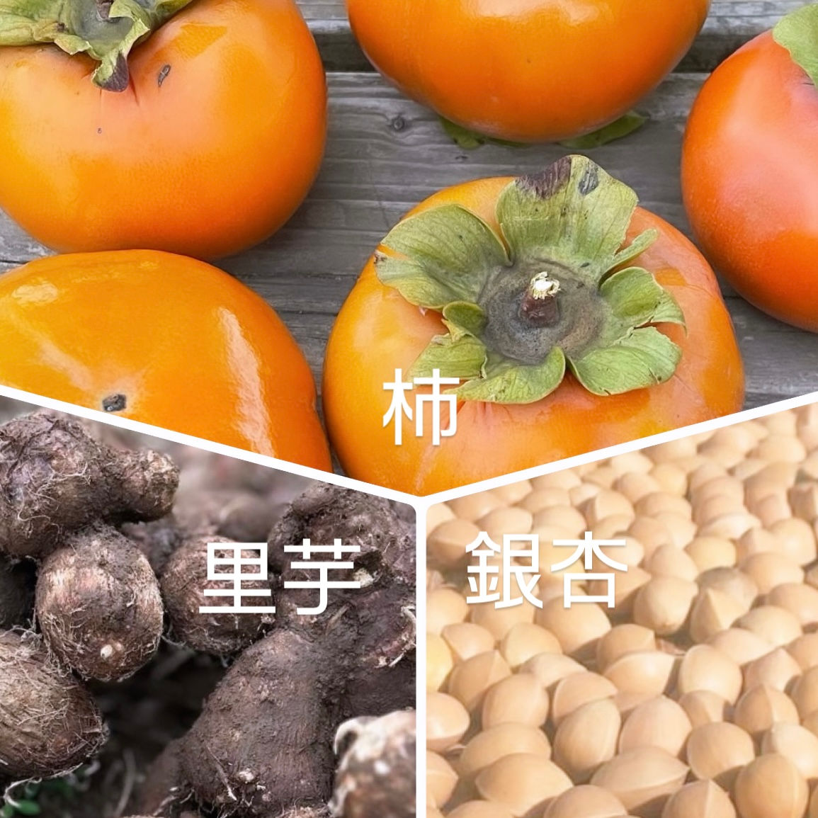 さなえヒルズの秋の収穫セット