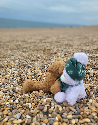 Little Bear and Snowy on Chesil Beach.jpg