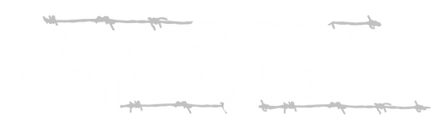 Light Transparent.png