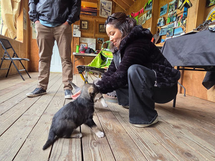 personalized experiences