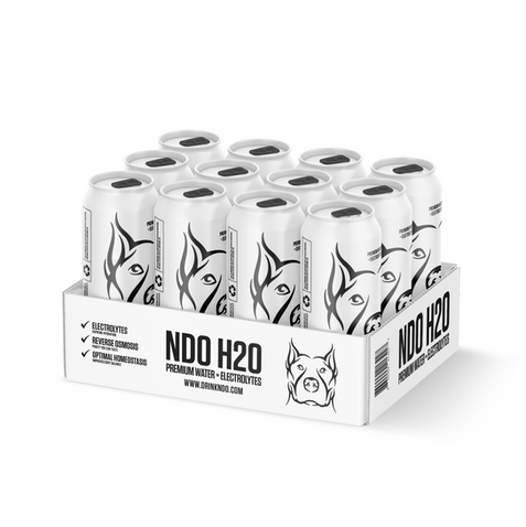 Screen Shot 2022-12-30 at 2.55.50 PM.png