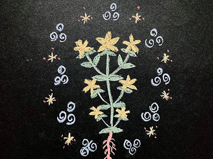 StJohnswort ML.jpg