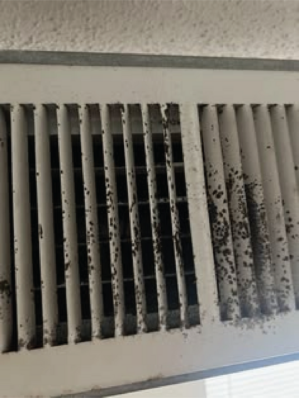 Mold in Air Ducts: Signs, Causes, and When Professional Mold Testing May Be Needed