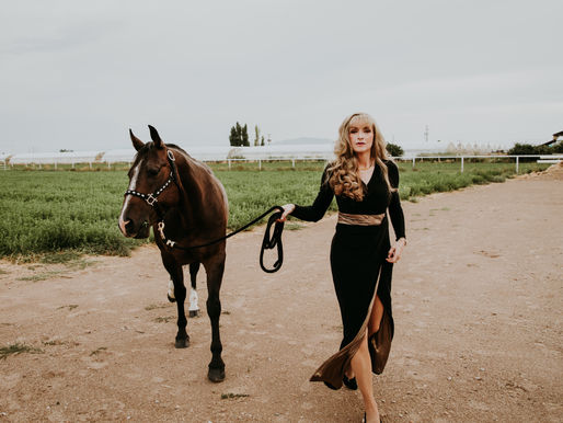 Dixie | The Horse