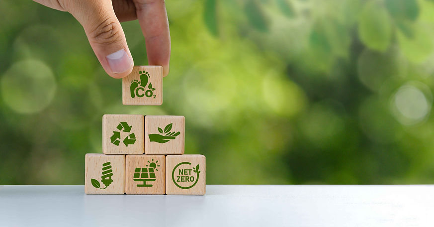 Renewable Energy (1).jpg