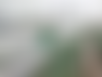 People and cooperatives urgently harvest vegetables and fruits to escape storm number 3 - storm Wipha