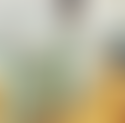 Will a new interest rate trend form?