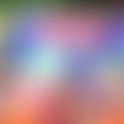 Volleyball and the Dream of Surpassing Thailand