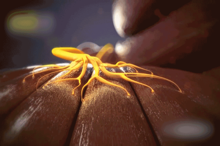 image26.gif