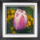 Thumbnail: Wistful