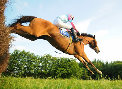 Moonlight Flyer, Chris Barber (1st) Rest