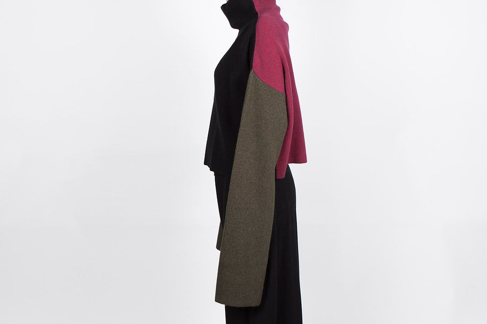 Thumbnail: W205 | Super Long Sleeve Color Block Turtleneck Sweater