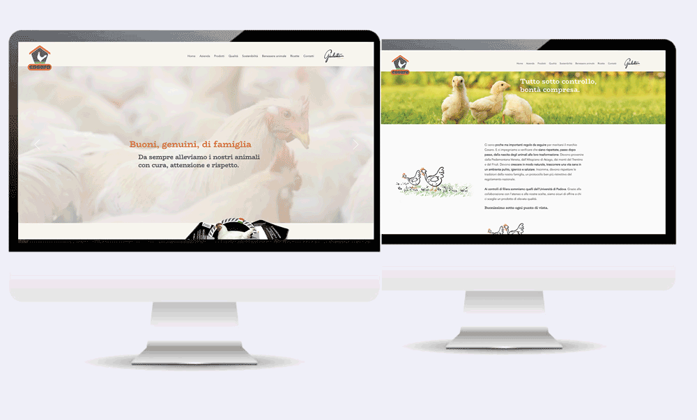Web Cosaro