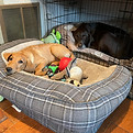 sleep over