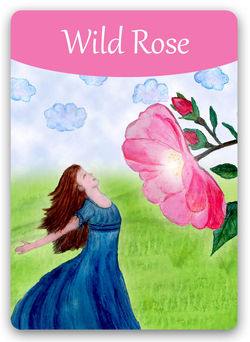 Wild-Rose.jpg