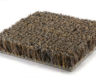 zerbini-in-cocco-20.jpg