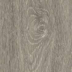 Grey Elm 2935.jpg