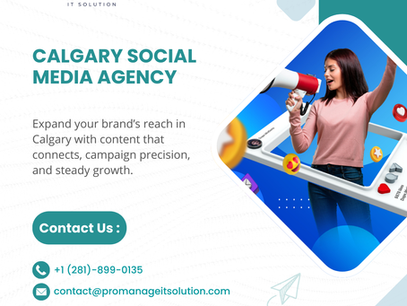 What To Expect When Partnering With A Calgary Social Media Agency Like ProManage IT Solution