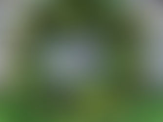 Christmas Comfort, Camaraderie & a Cup of Questionable Tea