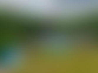 Beirhope on the Brae