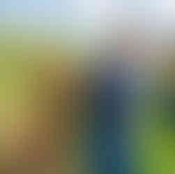 Alpaca Experience Scotland