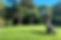 harewood lawncare bury st edmunds grass cutting.jpg