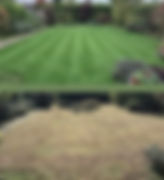 before and after lawn renovation moss treatment cb8 newmarket.jpg