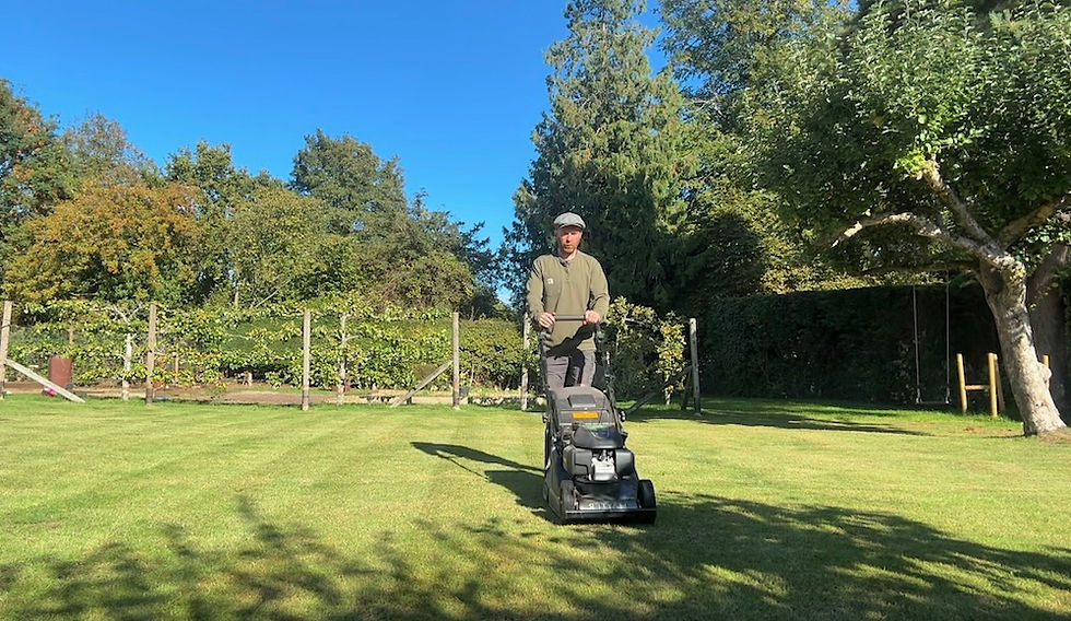Expert Lawn Care Advice for Bury St Edmunds, Newmarket & Suffolk Villages